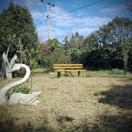 The Art House Photo Museum *